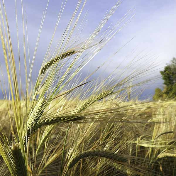 Landscape Photography 101