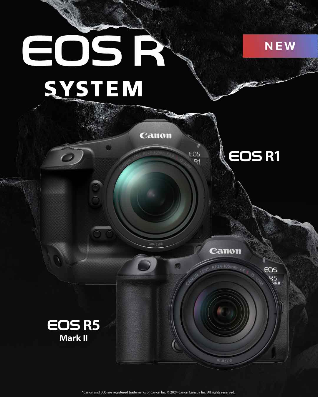 Canon Announces the EOS R1 and R5 II Cameras