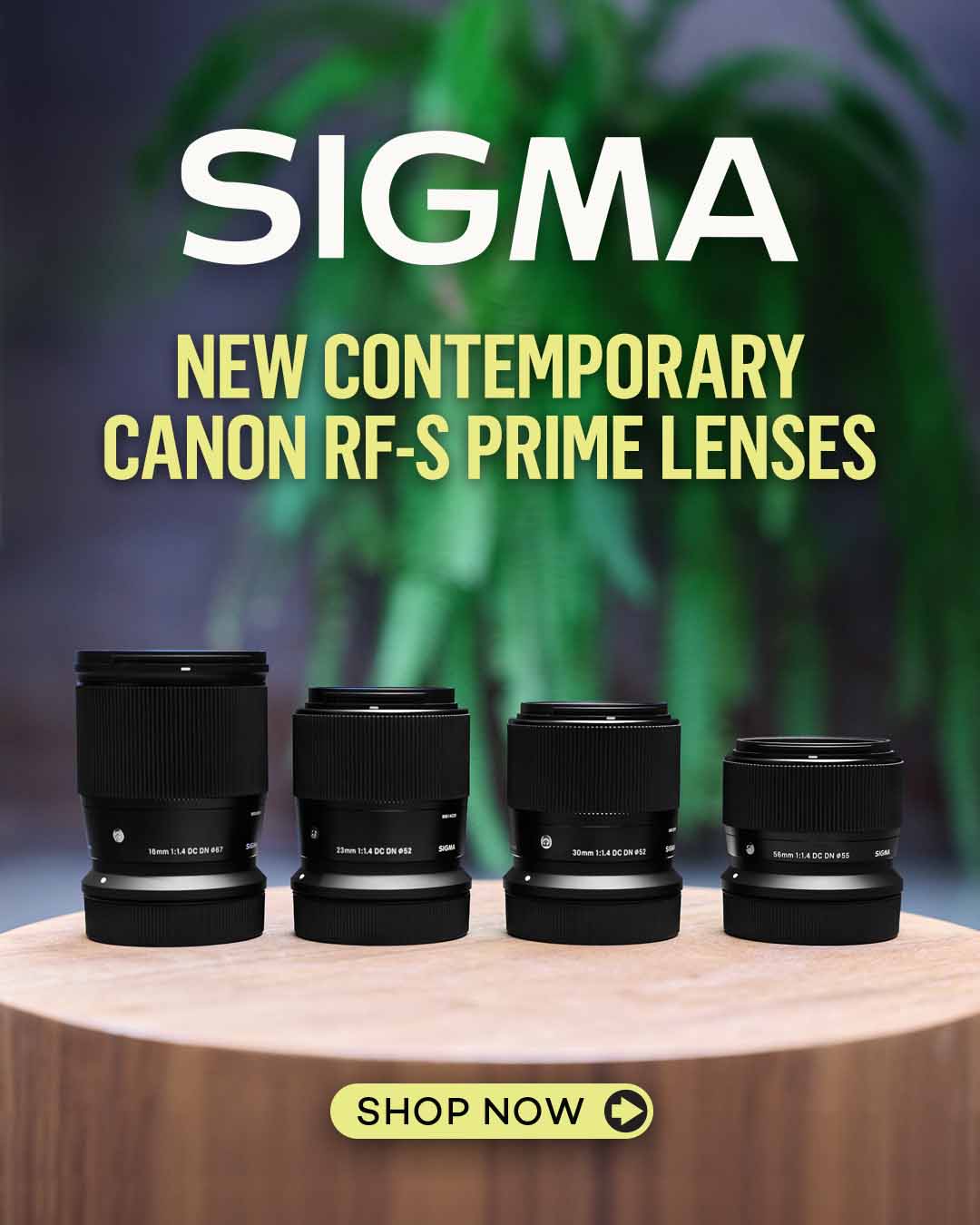 Sigma Contemporary RF-S Prime Lenses